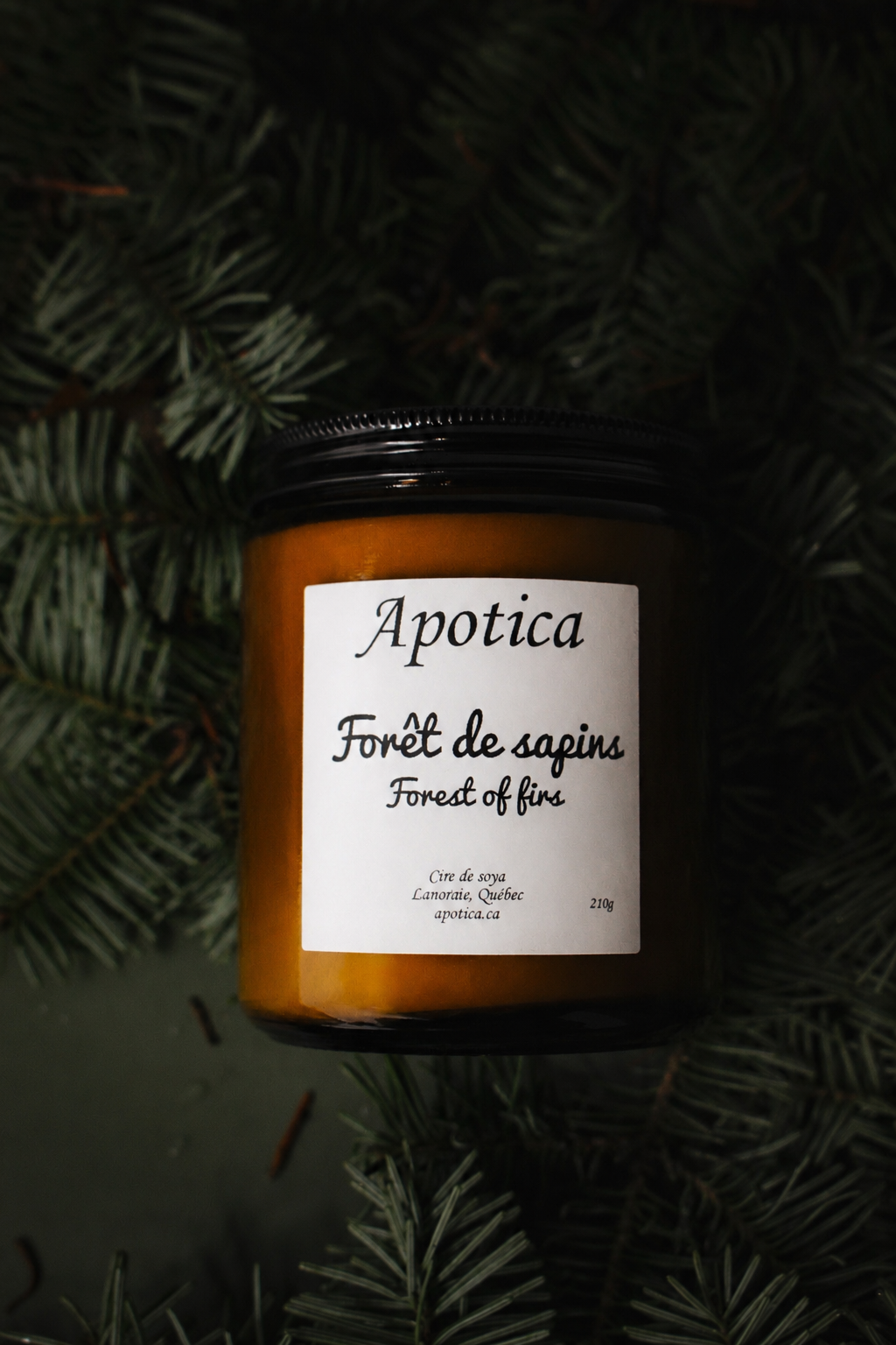 Forêt de sapins