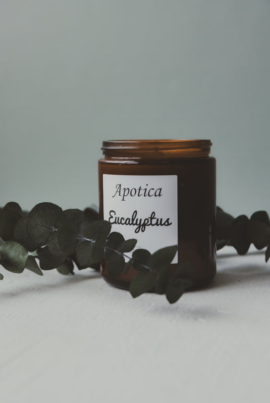 Eucalyptus