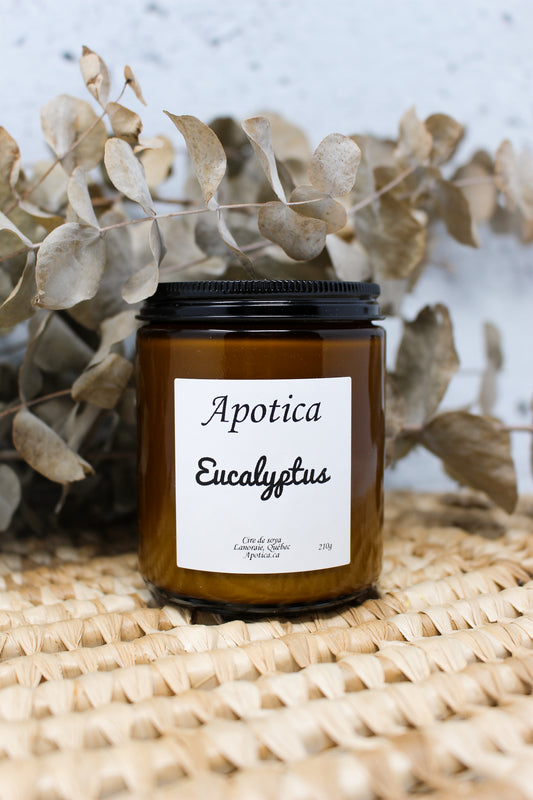 Eucalyptus