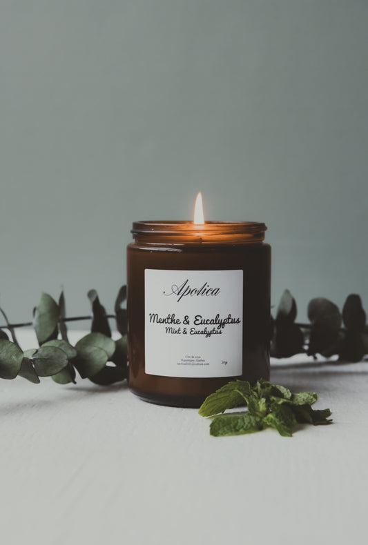 Menthe & Eucalyptus