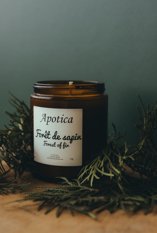 Forêt de sapin